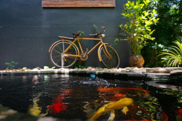 老式自行车与灰色的墙壁和鱼塘。图片下载