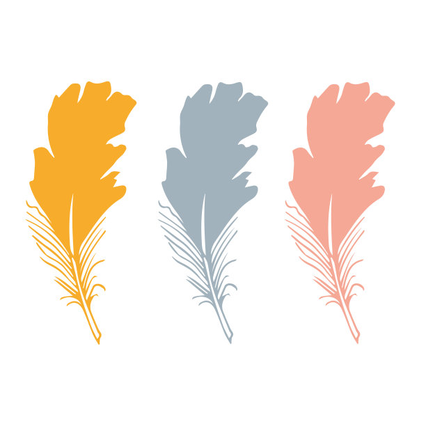 彩色详细的鸟羽毛集手绘图片下载