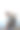 父亲在夏天用背包背他蹒跚学步的儿子图片下载