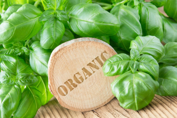 罗勒和有机标签与木制背景图片下载