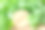 罗勒和有机标签与木制背景图片下载