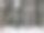 高大的松树炉灶图片下载