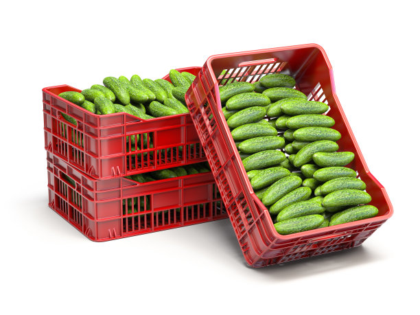 塑料箱里的黄瓜被隔离在白色上图片下载