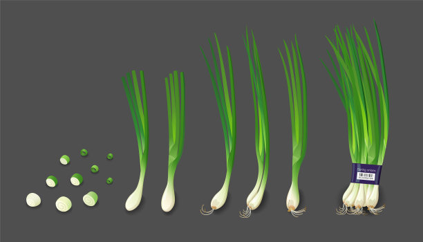 小葱和小葱切丝图片下载