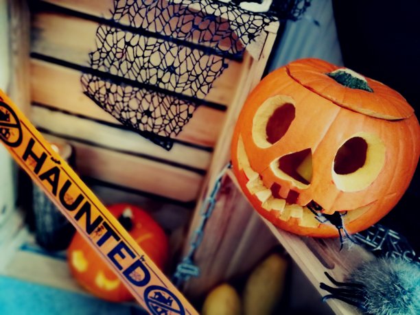 Halloweeen装饰图片下载