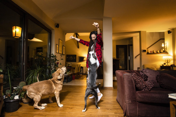 年轻女子喜欢她的宠物在家里库存照片图片下载
