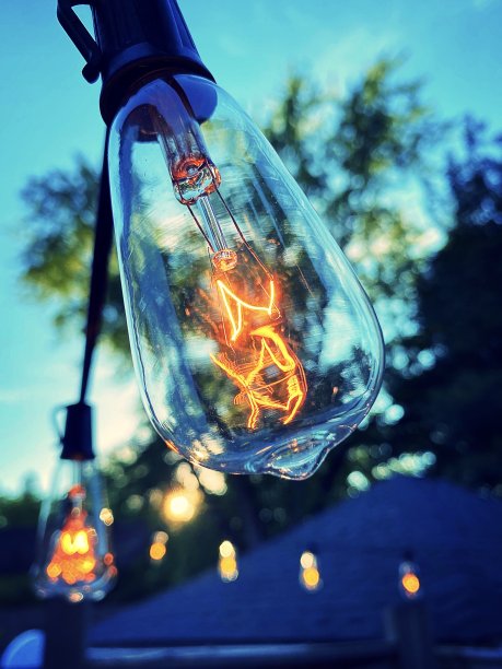 爱迪生的灯泡图片下载