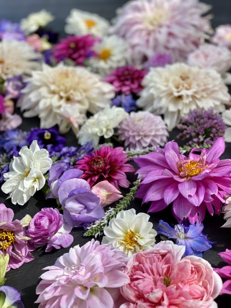 秋天开花的壁纸图片下载