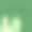 明亮的明信片。绿色的仙人掌。我永远不会抛弃你。矢量图像。图片下载