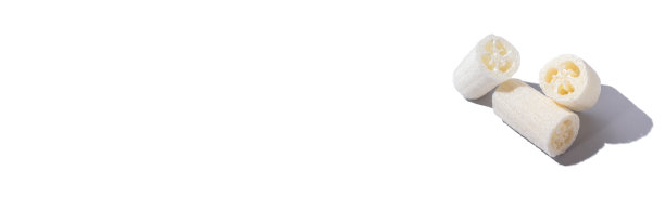 丝瓜天然零废物植物海绵洗涤刷洗。在白色背景上隔离图片下载