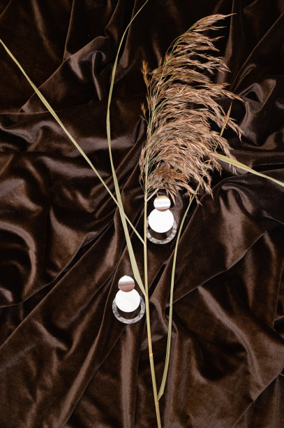 时髦的耳环和潘帕斯草在皱巴巴的棕色丝绸织物表面。时尚背景与女性珠宝图片下载