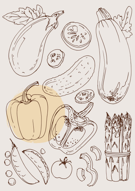 一套彩色蔬菜。新鲜食物。西葫芦，茄子，黄瓜，辣椒，豌豆，西红柿，芦笋在白色的背景上画线。矢量插图。图片下载