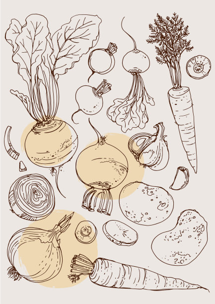 的蔬菜。新鲜食物。南瓜线在黑色的背景上画。矢量插图。着色为成人图片下载