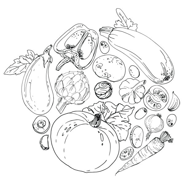 蔬菜。新鲜食物。甜菜，萝卜，胡萝卜，洋葱，大蒜，土豆画在白色的背景上。矢量插图。图片下载