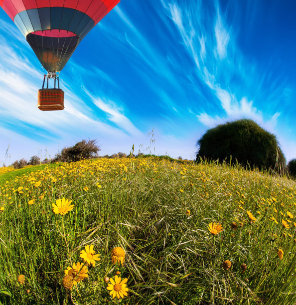 绚丽绽放的春天图片下载