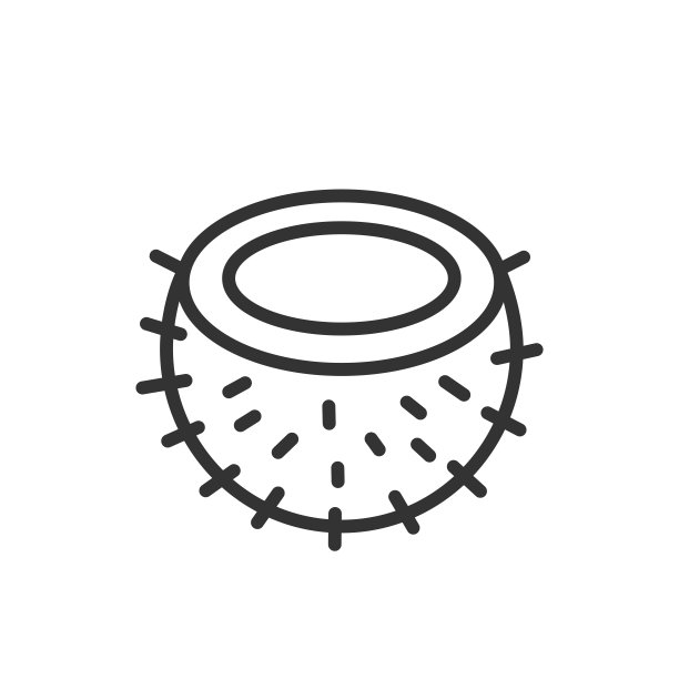椰子轮廓图标。矢量插图。图片下载