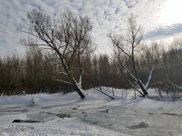 手机照片。寒冷的沼泽，海边的积雪图片下载