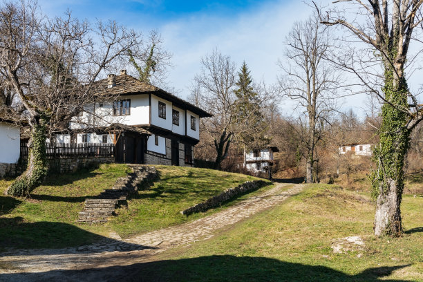 老街道和房子的照片图片下载