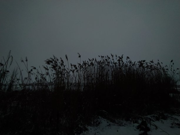 黑色和白色图片下载