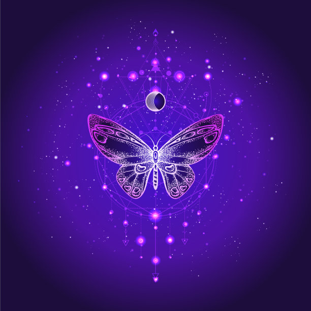 蝴蝶与几何符号图片下载