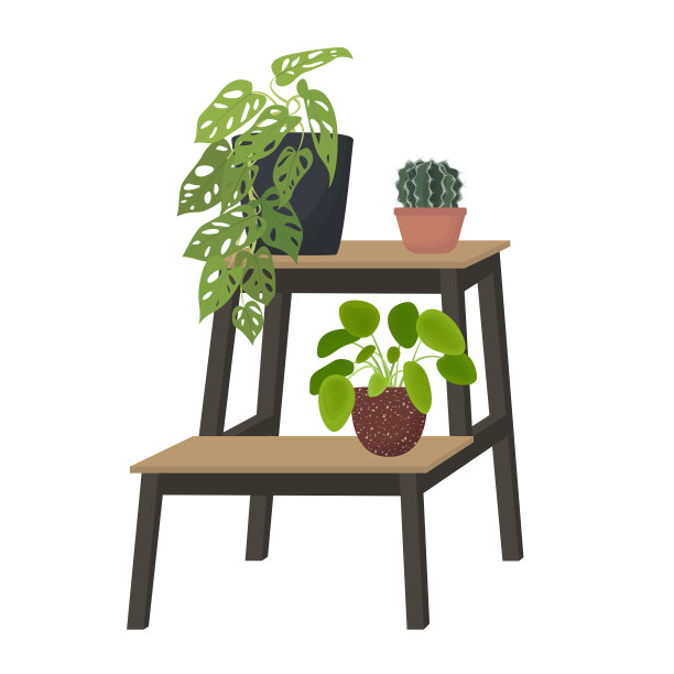 室内盆栽植物放在架子上。图片下载