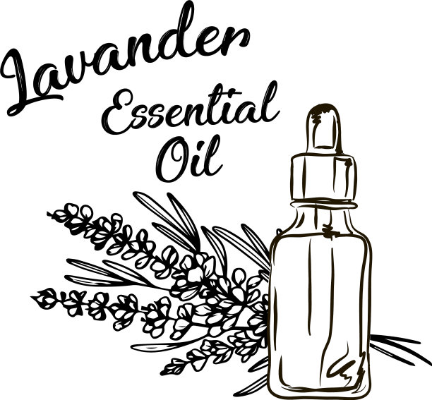 薰衣草精油瓶及束图片下载