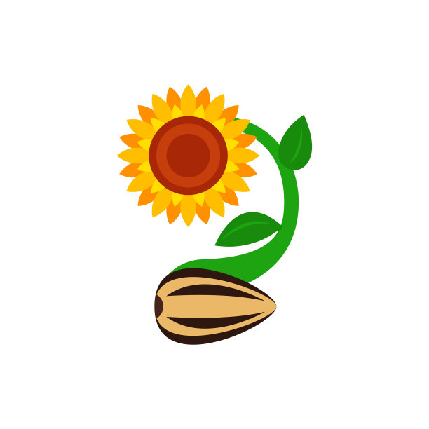 向日葵与绿色的叶子在平坦的花柱孤立在白色的背景。矢量图图片下载