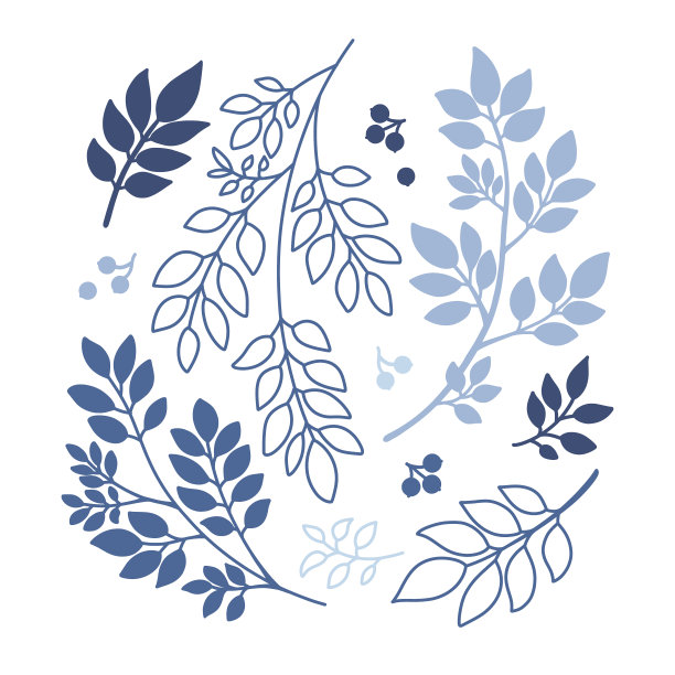 装饰花园树枝集。森林植物，小枝，叶子和浆果剪影。花卉剪纸收藏，矢量元素图片下载