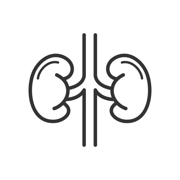 肾脏器官轮廓图标。医疗保健，医疗支持标志。矢量插图。图片下载