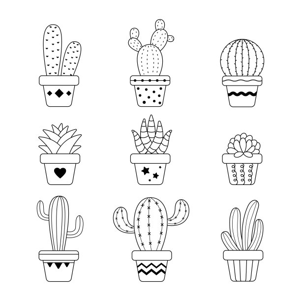 花盆中的带菌者仙人掌。仙人掌:一种很受欢迎的多肉植物图片下载