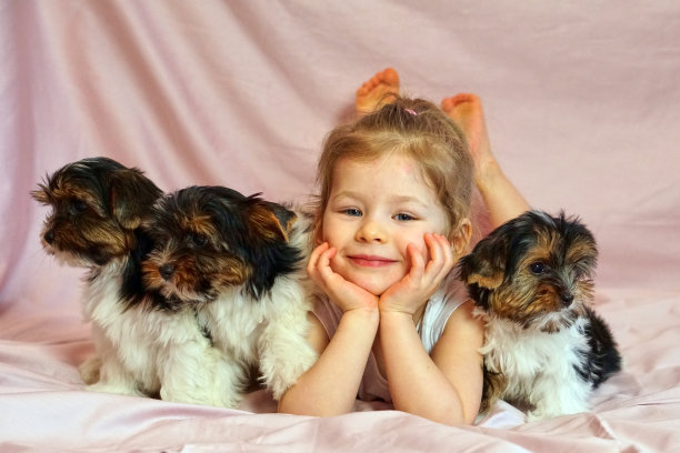 快乐的孩子和小狗玩耍。带着狗的女孩。孩子和动物。图片下载