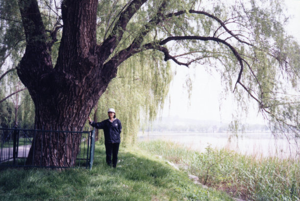 21世纪中国年轻女孩的真实生活老照片图片下载