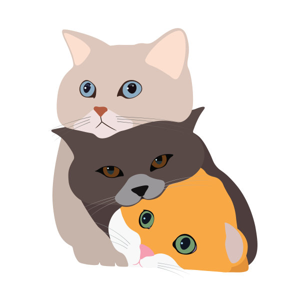 3只可爱的猫图片下载