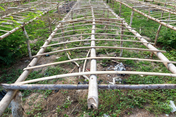 鱿鱼干的竹竿图片下载