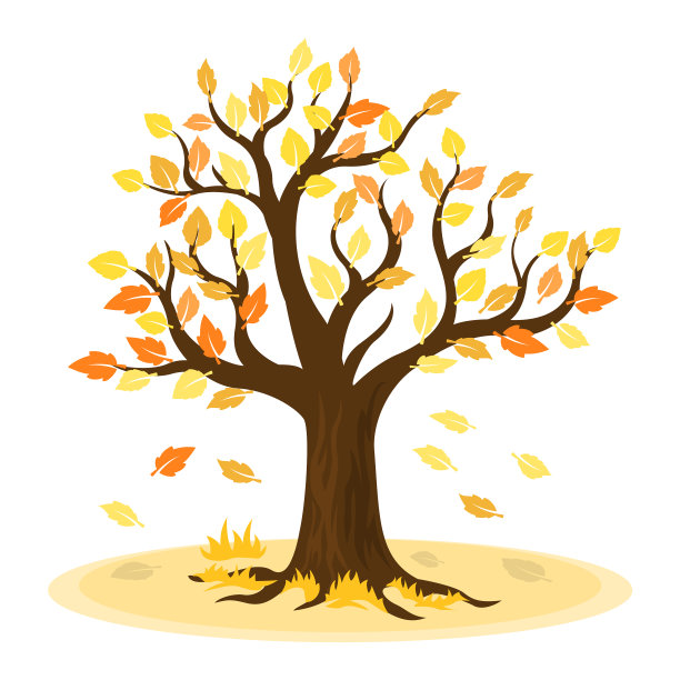 秋天的树，黄叶图片下载