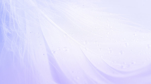 羽毛旗帜。彩色蜡笔天使羽毛特写纹理在白色背景微距摄影。迷人的复杂通风的艺术形象上的软模糊的背景。图片下载