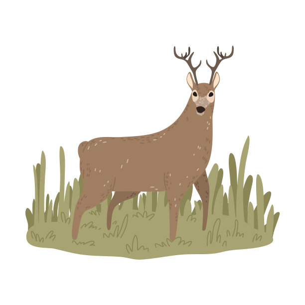 大棕色的鹿在狩猎时看着猎人图片下载