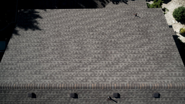 顶部有通风口的大瓦屋顶图片下载