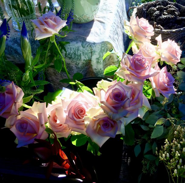 出售粉红玫瑰图片下载