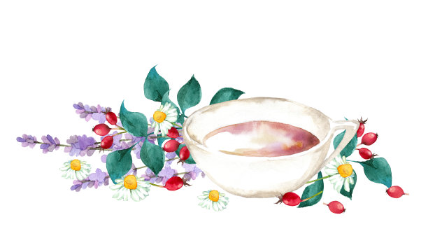 玫瑰果和香草配茶图片下载