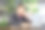 白人商人正在使用视频通话，同时在绿色环保的现代工作场所周围的空气净化侯图片下载