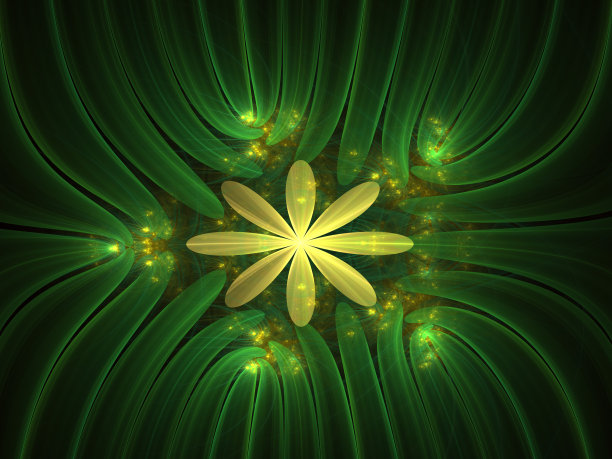 美丽的抽象花用于艺术项目，卡片，商业，海报。图片下载