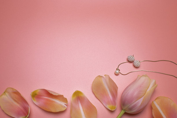 美丽的背景与珠宝和花瓣，与自由的文字空间。图片下载