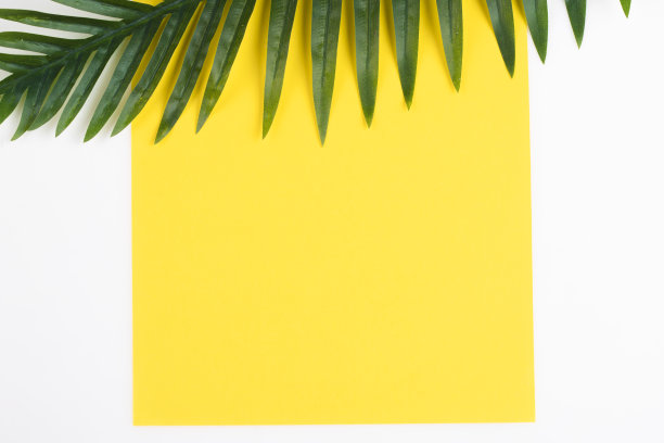 夏天的概念图片下载