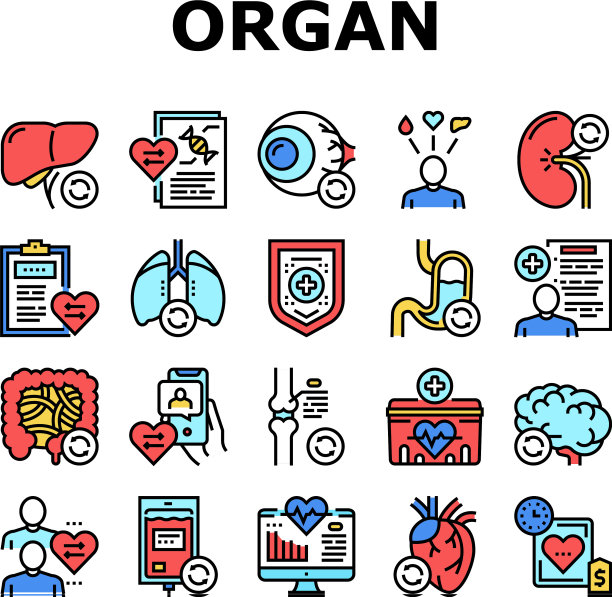 器官捐赠医疗收集图标集图片下载