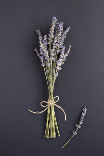 黑色背景上的干薰衣草花。图片下载