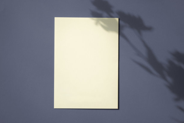 植物阴影背景和卡片模型图片下载