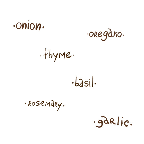 香草和香料图片下载