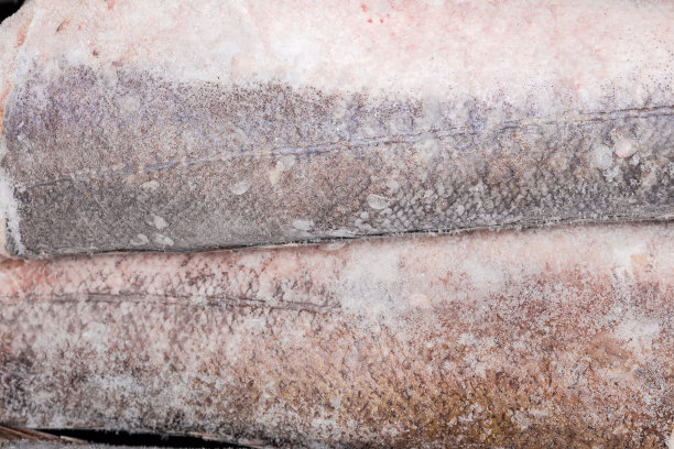 冰冻的阿根廷鳕鱼尸体碎片，俯视图特写图片下载