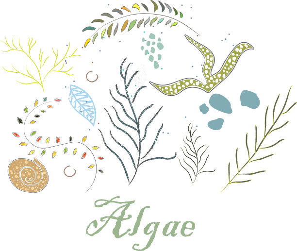 可爱的冬季图标与藻类手绘图片下载